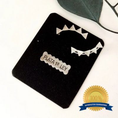 Pendientes Trepadores elaborados en Plata de Ley